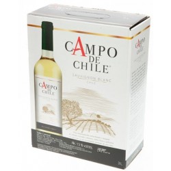 Španělské víno bílé 12% alc. - Campo de Sauvignon blanc 3L