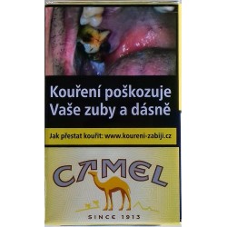 CamKartonové balení měkká krabička cigarety s filtrem Camel Yellow soft kolek G 131 Kč 10x20 ks - 200 ks cigaret