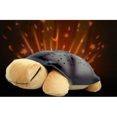 Noční svítící želvička - hnědá